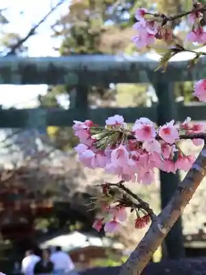 久能山東照宮(静岡県)