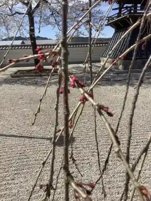 長蔵寺(岐阜県)