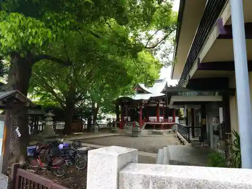 小金八坂神社の{uncategorized: "未分類", other: "その他", undefined: "問題あり", building: "その他建物", grave: "お墓", sacred_gate: "鳥居", guardian: "狛犬", statue: "像", buddha: "仏像", history: "歴史", nature: "自然", garden: "庭園", animal: "動物", pagoda: "塔", temizu: "手水舎", mountain_gate: "山門・神門", sanctuary: "本殿・本堂", subordinate: "末社・摂社", art: "芸術", scenery: "景色", jizo: "地蔵", ema: "絵馬", goshuin: "御朱印", omikuji: "おみくじ", items: "授与品その他", amulet: "お守り", goshuincho: "御朱印帳", eats: "食事", festival: "お祭り", votive_dance: "神楽", shichigosan: "七五三参", wedding: "結婚式", experience: "体験その他", initially: "初詣", around: "周辺", anti_infection: "感染症対策"}