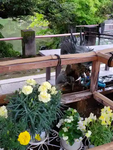 津島神社の手水舎