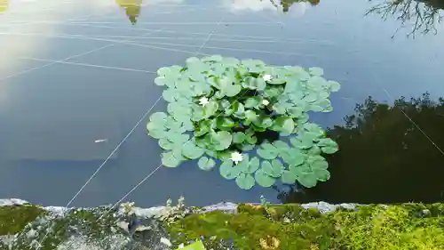 浄蓮寺の自然