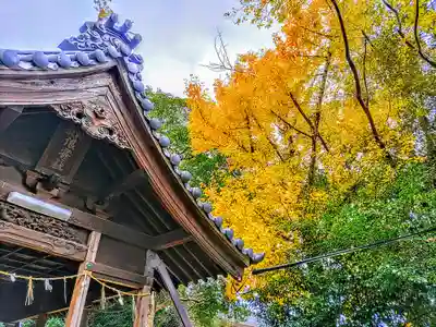 浪寄社の本殿・本堂