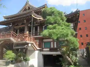 専光寺(東京都)