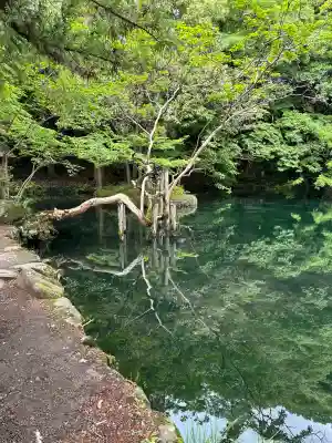 涌釜神社(栃木県)