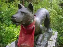 白笹稲荷神社の狛犬