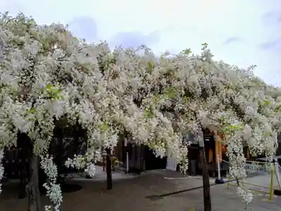 松應寺(愛知県)