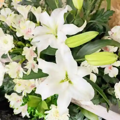 彌彦神社　(伊夜日子神社)の手水舎