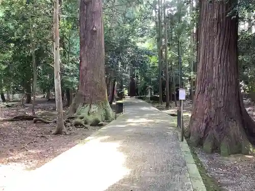 若狭彦神社（上社）の建物その他