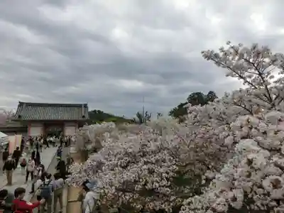 仁和寺のその他建物