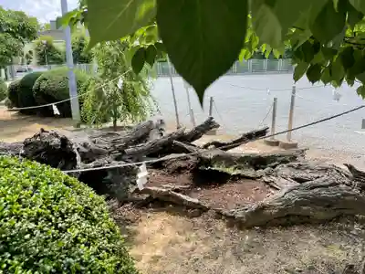 臨南寺(大阪府)