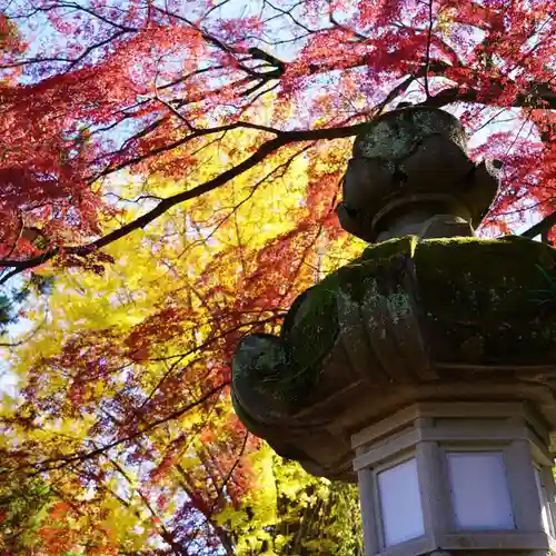 神炊館神社 ⁂奥州須賀川総鎮守⁂の景色