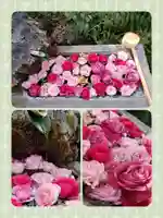 本郷氷川神社(東京都)