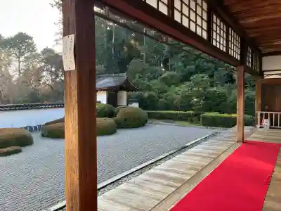 正伝護国禅寺(正伝寺･正傳寺)の{uncategorized: "未分類", other: "その他", undefined: "問題あり", building: "その他建物", grave: "お墓", sacred_gate: "鳥居", guardian: "狛犬", statue: "像", buddha: "仏像", history: "歴史", nature: "自然", garden: "庭園", animal: "動物", pagoda: "塔", temizu: "手水舎", mountain_gate: "山門・神門", sanctuary: "本殿・本堂", subordinate: "末社・摂社", art: "芸術", scenery: "景色", jizo: "地蔵", ema: "絵馬", goshuin: "御朱印", omikuji: "おみくじ", items: "授与品その他", amulet: "お守り", goshuincho: "御朱印帳", eats: "食事", festival: "お祭り", votive_dance: "神楽", shichigosan: "七五三参", wedding: "結婚式", experience: "体験その他", initially: "初詣", around: "周辺", anti_infection: "感染症対策"}