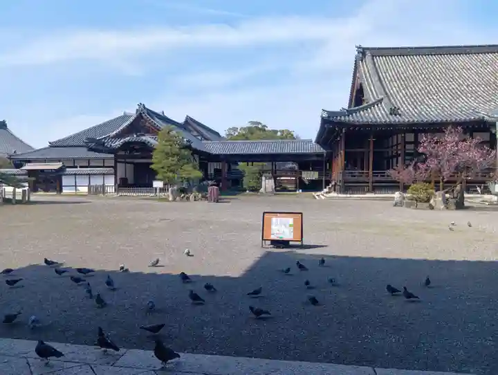 大通寺(長浜御坊)(滋賀県)