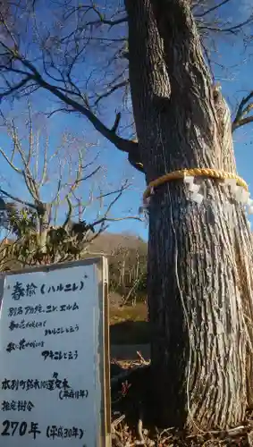 本別神社の自然