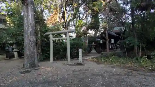 御霊神社（上御霊神社）(京都府)
