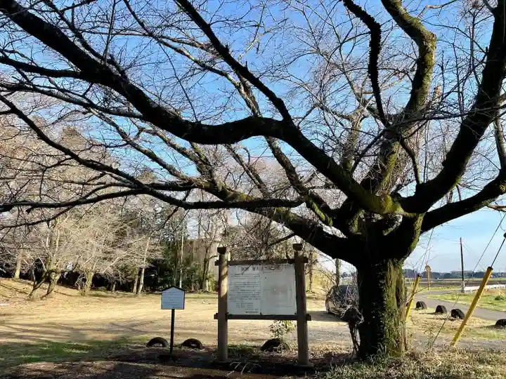摩利支天塚古墳(摩利支天尊)(栃木県)