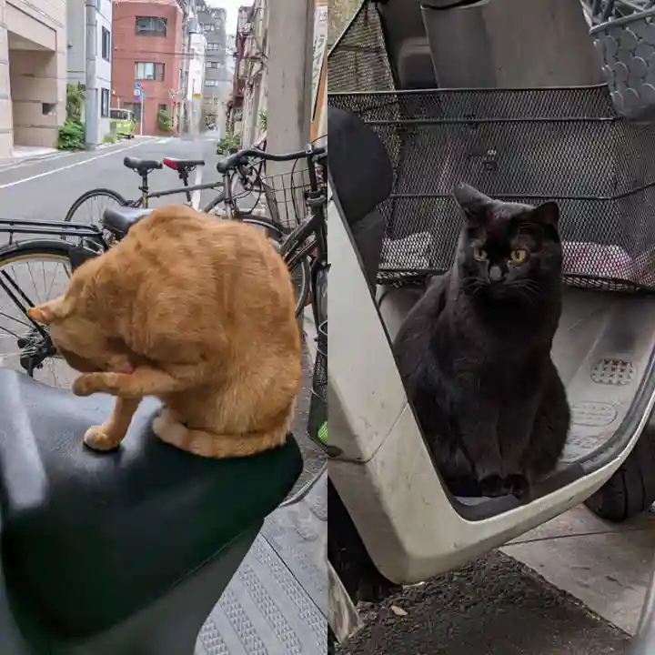 小野照崎神社の動物