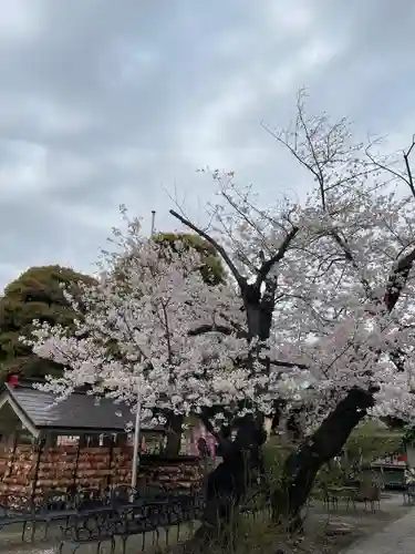 今戸神社(東京都)
