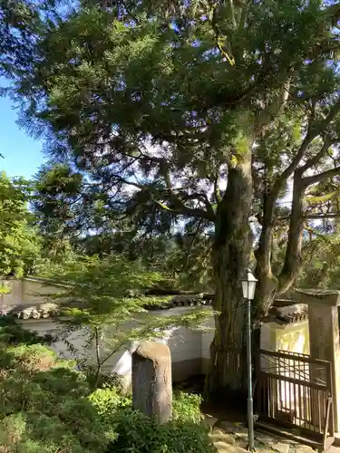 忉利天上寺の庭園