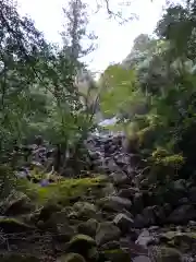 大馬神社の自然