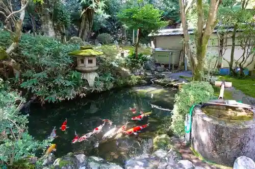 一條殿 新善光寺の庭園