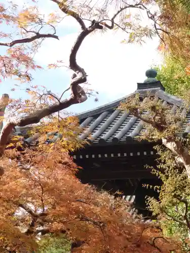 本蓮寺(神奈川県)