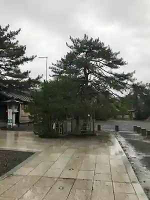 氣比神宮(福井県)