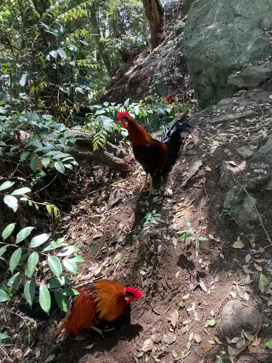 大甕神社(茨城県)