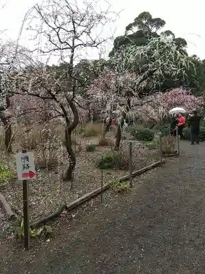 龍尾神社(静岡県)