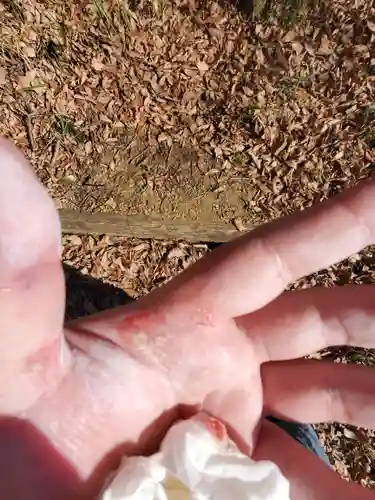 定年寺(栃木県)