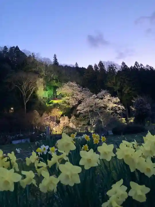 堂の下の岩観音(栃木県)