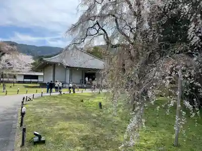 宝聚院(京都府)