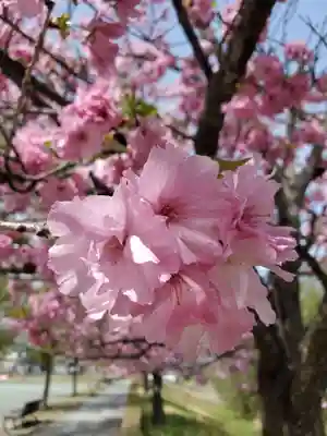 滑川神社 - 仕事と子どもの守り神(福島県)