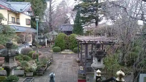 井口院の庭園