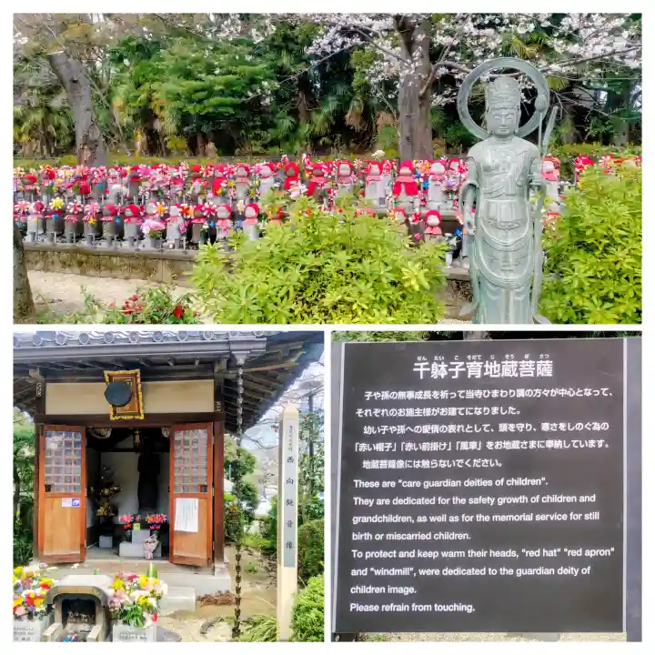 増上寺の{uncategorized: "未分類", other: "その他", undefined: "問題あり", building: "その他建物", grave: "お墓", sacred_gate: "鳥居", guardian: "狛犬", statue: "像", buddha: "仏像", history: "歴史", nature: "自然", garden: "庭園", animal: "動物", pagoda: "塔", temizu: "手水舎", mountain_gate: "山門・神門", sanctuary: "本殿・本堂", subordinate: "末社・摂社", art: "芸術", scenery: "景色", jizo: "地蔵", ema: "絵馬", goshuin: "御朱印", omikuji: "おみくじ", items: "授与品その他", amulet: "お守り", goshuincho: "御朱印帳", eats: "食事", festival: "お祭り", votive_dance: "神楽", shichigosan: "七五三参", wedding: "結婚式", experience: "体験その他", initially: "初詣", around: "周辺", anti_infection: "感染症対策"}
