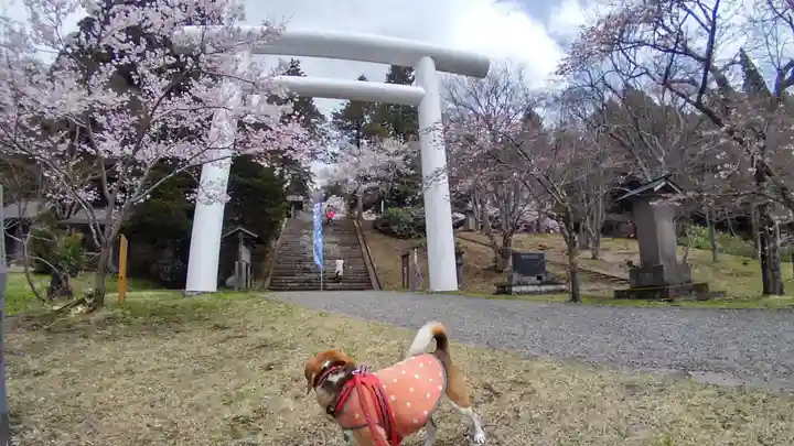 土津神社|こどもと出世の神さまの動物