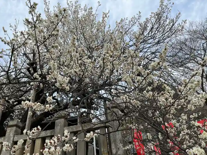 高鳥天満宮の自然