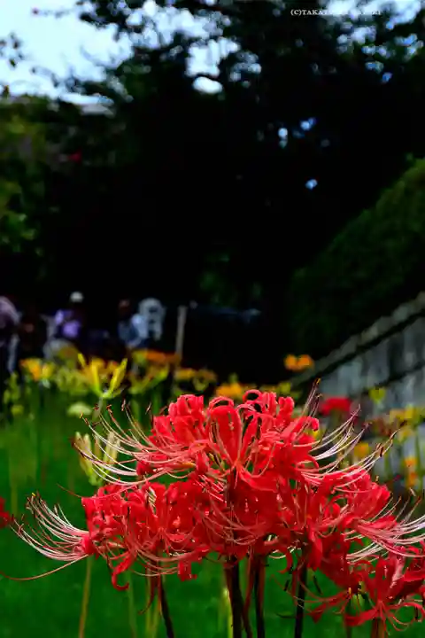 横浜 西方寺(神奈川県)
