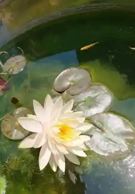 眞隆寺(千葉県)