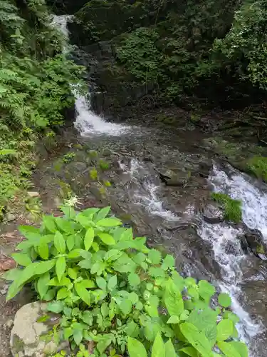 九頭龍神社(東京都)