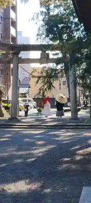 浜松八幡宮(静岡県)