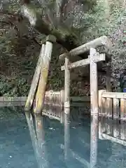 鹿島神宮(茨城県)