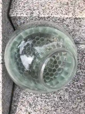 伊和志津神社(兵庫県)