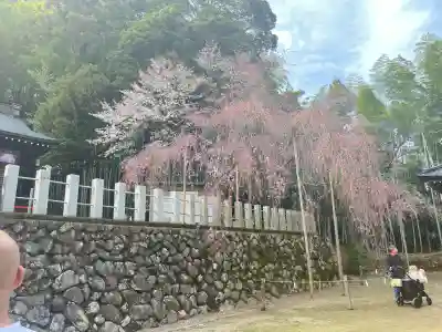 小川諏訪神社の{uncategorized: "未分類", other: "その他", undefined: "問題あり", building: "その他建物", grave: "お墓", sacred_gate: "鳥居", guardian: "狛犬", statue: "像", buddha: "仏像", history: "歴史", nature: "自然", garden: "庭園", animal: "動物", pagoda: "塔", temizu: "手水舎", mountain_gate: "山門・神門", sanctuary: "本殿・本堂", subordinate: "末社・摂社", art: "芸術", scenery: "景色", jizo: "地蔵", ema: "絵馬", goshuin: "御朱印", omikuji: "おみくじ", items: "授与品その他", amulet: "お守り", goshuincho: "御朱印帳", eats: "食事", festival: "お祭り", votive_dance: "神楽", shichigosan: "七五三参", wedding: "結婚式", experience: "体験その他", initially: "初詣", around: "周辺", anti_infection: "感染症対策"}