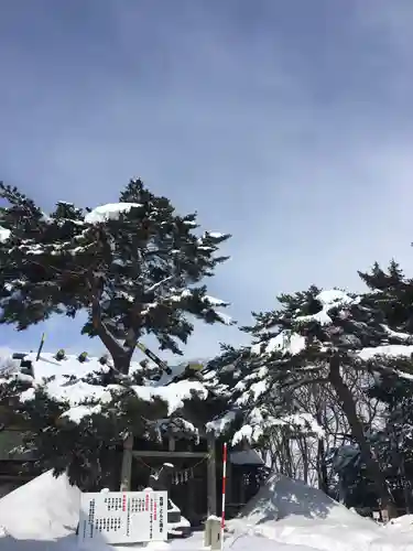 江別神社の鳥居