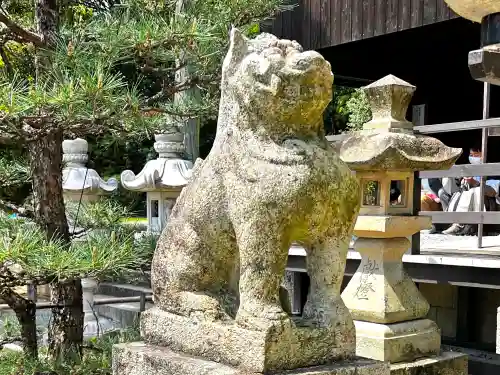 白國神社の狛犬