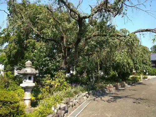 吉祥院のその他建物