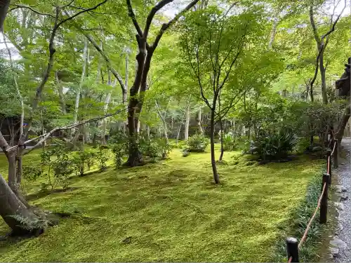 祇王寺(京都府)