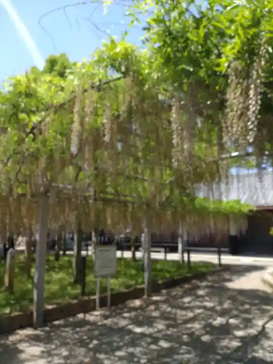三大神社の自然